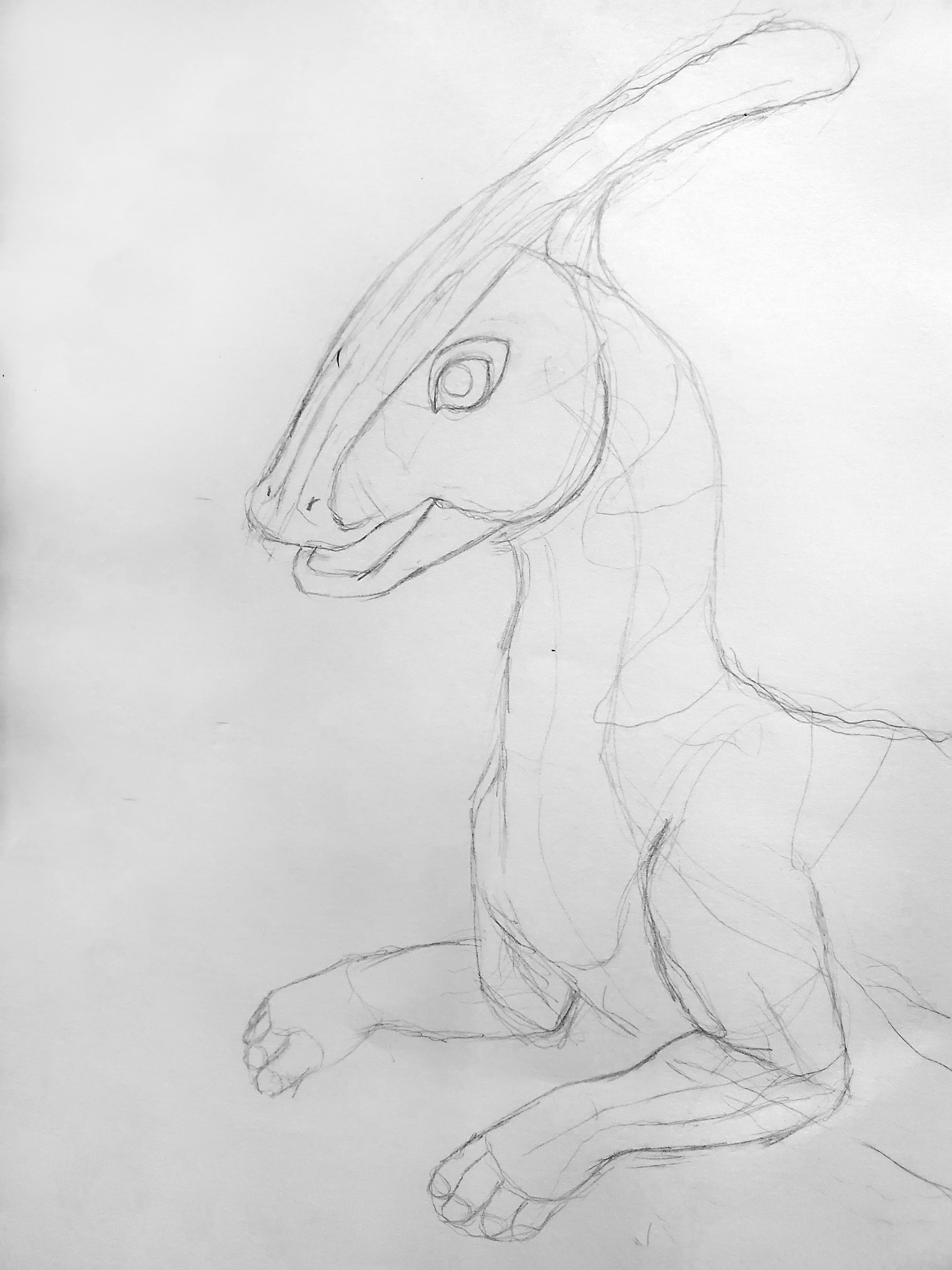 para sketch