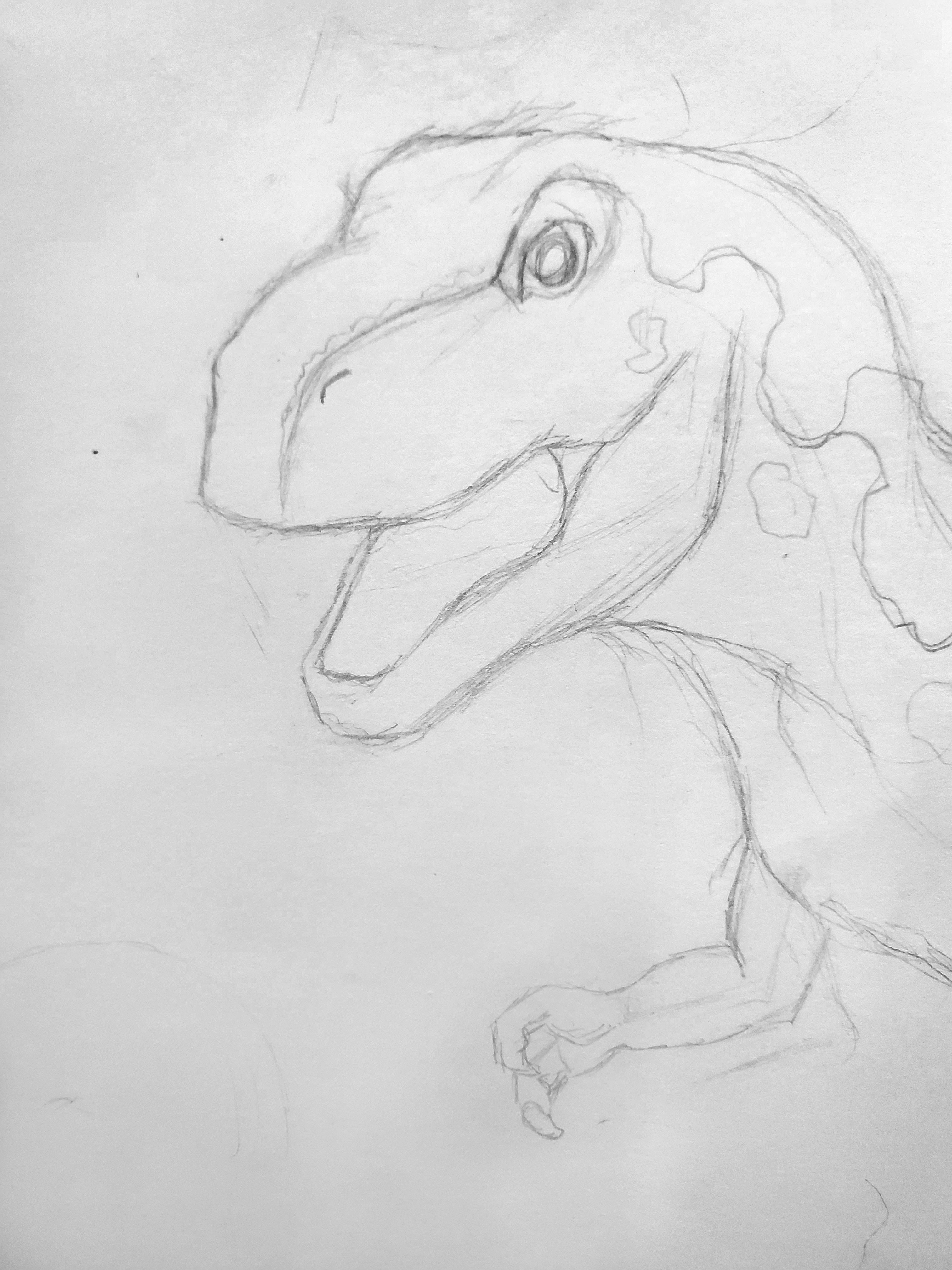 trex sketch