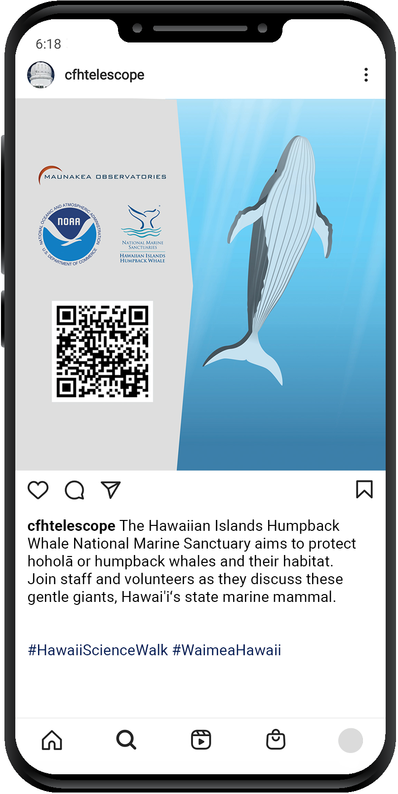 instagram_whales