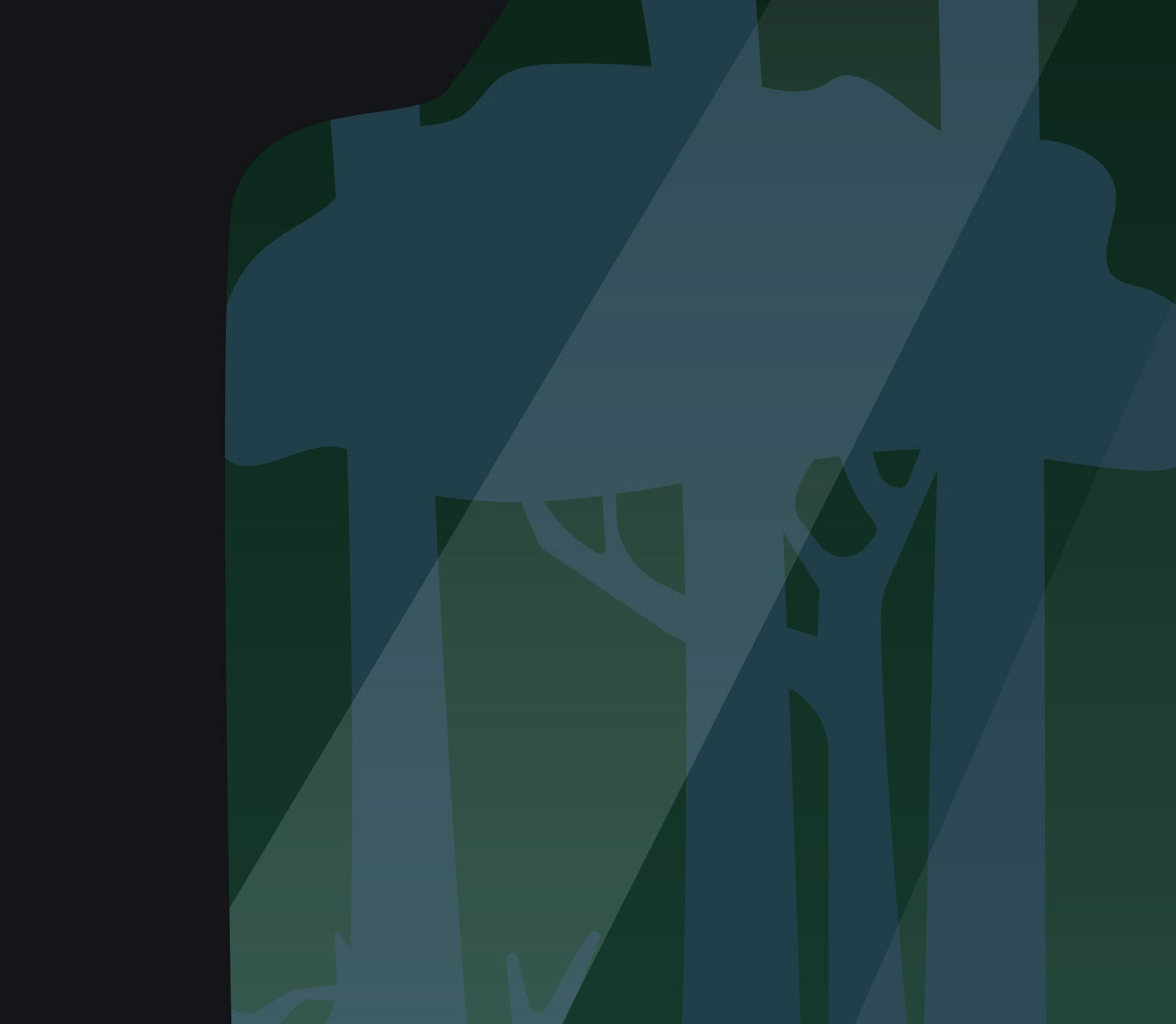forest background 